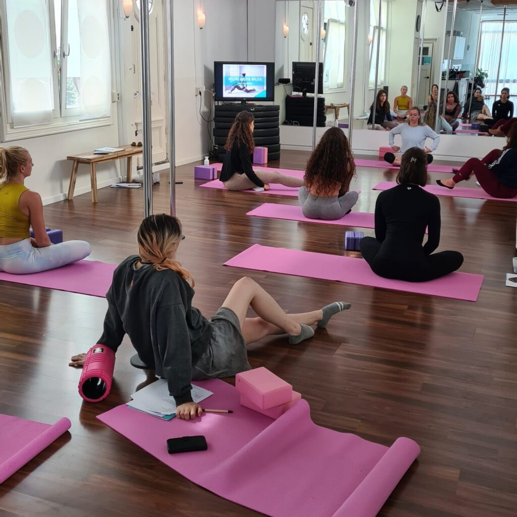 workshops voor paaldans docenten