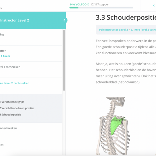 Pole Instructor Level 2 - hoofdstuk 3
