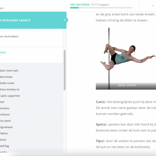 Pole Instructor Level 2 - hoofdstuk 5