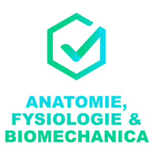 Anatomie Fysiologie Biomechanica opleiding